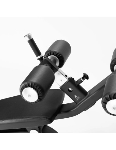 Série de performance Primal Banc de musculation ajustable pour abdominaux 