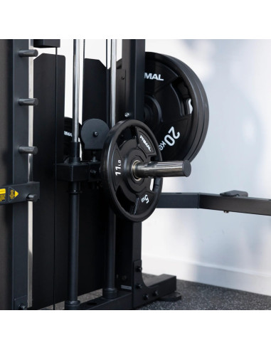 Système multi-racks à chargement de plaques de la série Primal Personal - Système multi-racks avec piles de poids 