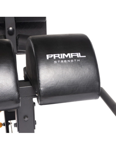 Série de Performance Primal GHD 
