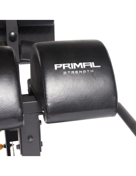 Série de Performance Primal GHD 