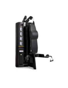 Freemotion GENESIS™ DS Strength Abdominal / Biceps 