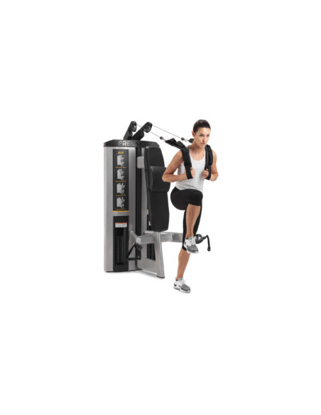 Freemotion GENESIS™ DS Strength Abdominal / Biceps 