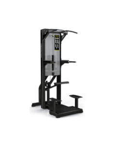 Freemotion EPIC Selectorized Dip-Chin Assist 