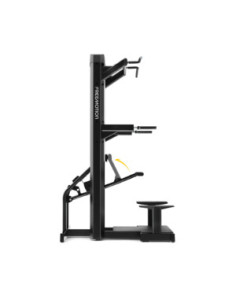 Freemotion EPIC Selectorized Dip-Chin Assist  2