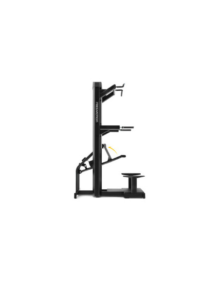 Freemotion EPIC Selectorized Dip-Chin Assist 