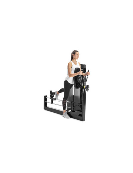 Freemotion EPIC Selectorized Glute 