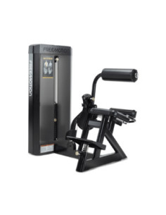 Freemotion EPIC Selectorized Back Extension 