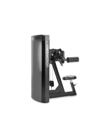 Freemotion EPIC Selectorized Lateral Raise 