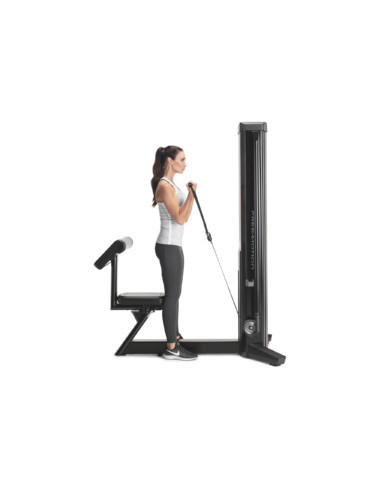 Freemotion GENESIS™ Strength Biceps 