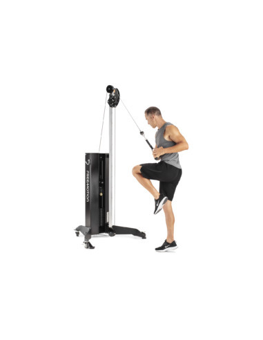 Freemotion GENESIS™ Strength Cable Column 