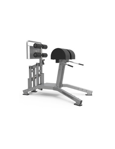 Freemotion Glute-Ham Developer 