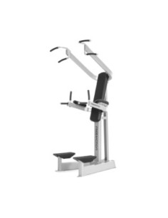 Freemotion Dip Chin/Ab 