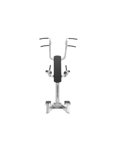 Freemotion Dip Chin/Ab 