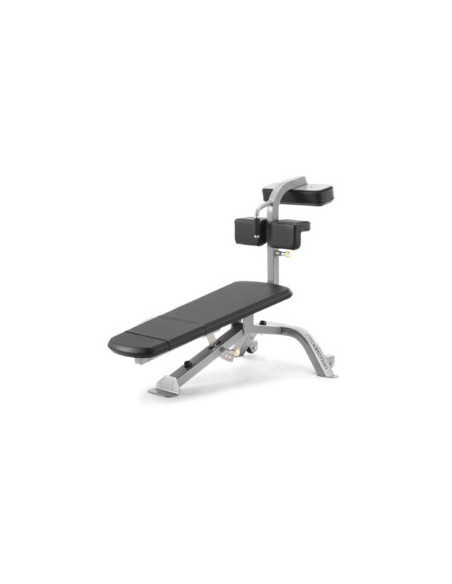 Freemotion Abdominal Bench 
