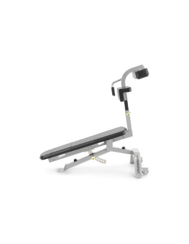 Freemotion Abdominal Bench 