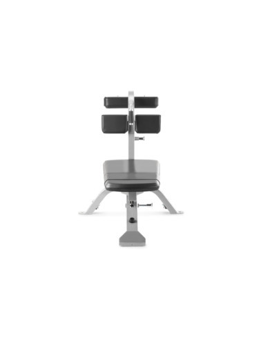 Freemotion Abdominal Bench 