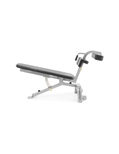 Freemotion Abdominal Bench 