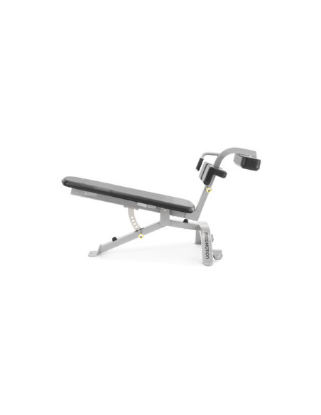 Freemotion Abdominal Bench 