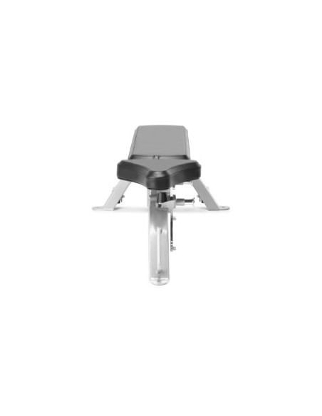 Freemotion Adjustable Bench 