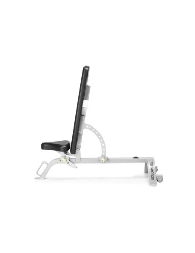 Freemotion Adjustable Bench 