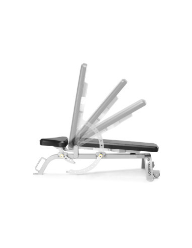 Freemotion Adjustable Bench 
