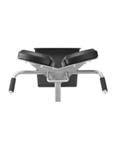 Freemotion 45-degree Back Extension  2