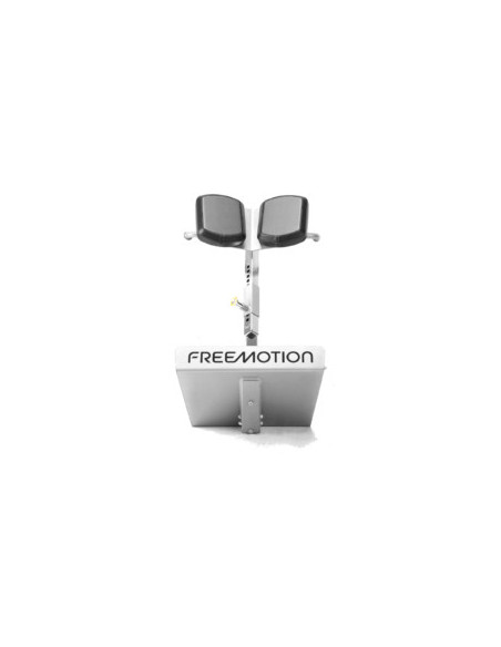 Freemotion 45-degree Back Extension 