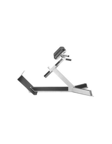 Freemotion 45-degree Back Extension 