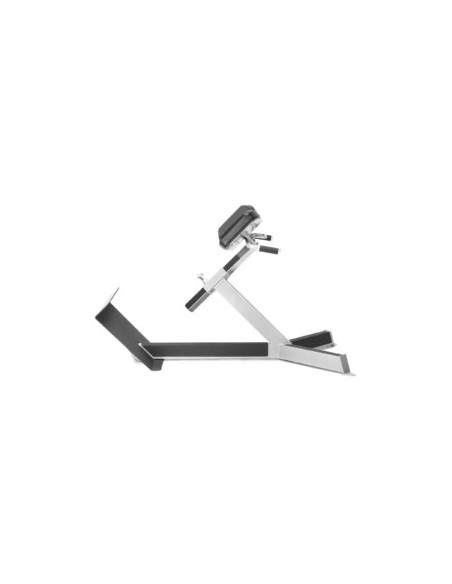 Freemotion 45-degree Back Extension 