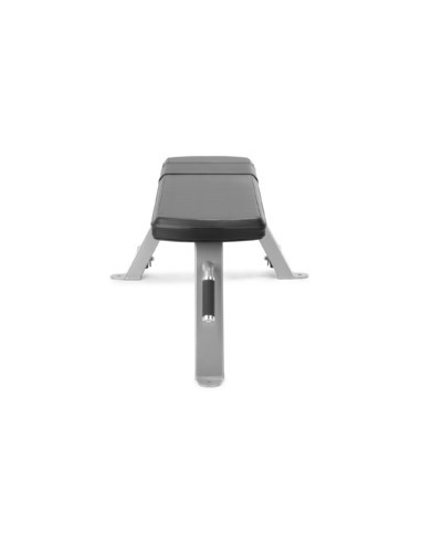 Freemotion Free Weight Flat Bench 