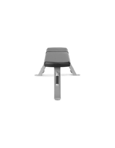 Freemotion Free Weight Flat Bench 