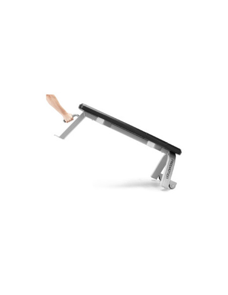 Freemotion Free Weight Flat Bench 