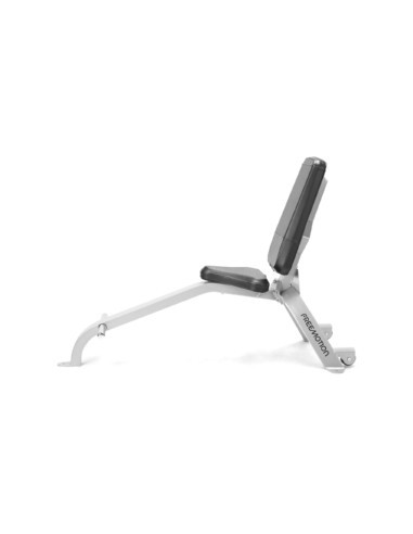 Freemotion Utility Bench 