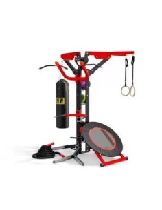 Station multifonction FTM6101 - AFW  FTM6101-Home-musculation-Pas cher