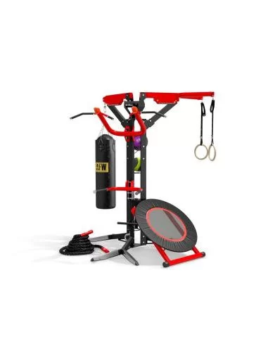 Station multifonction FTM6101 - AFW  FTM6101-Home-musculation-Pas cher