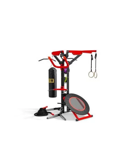 Station multifonction FTM6101 - AFW  FTM6101-Home-musculation-Pas cher