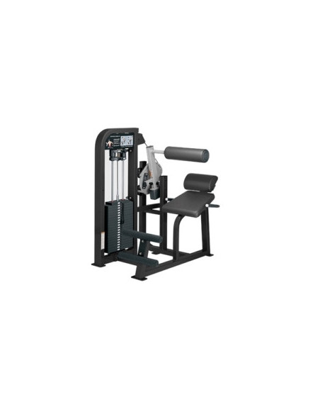 Hammer Strength Select SE Full Back Extension 