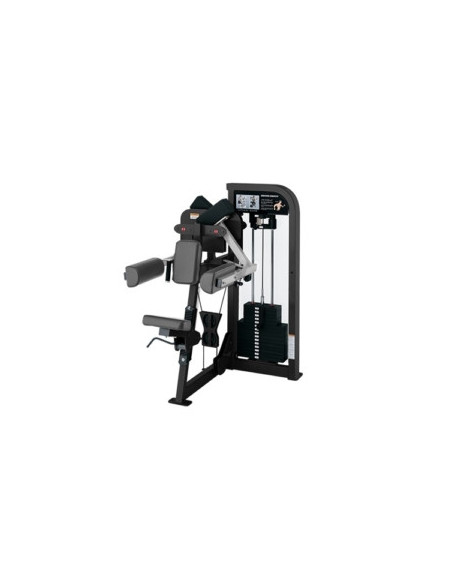 Hammer Strength Select SE Full Lateral Raise 