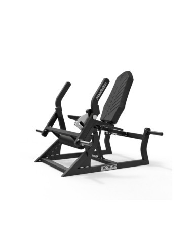 Rogers Extension de la jambe pendulaire 