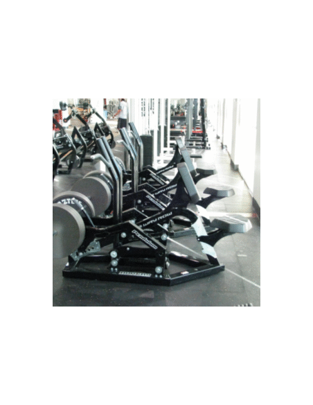 Rogers Pendulum 3 Way Row 