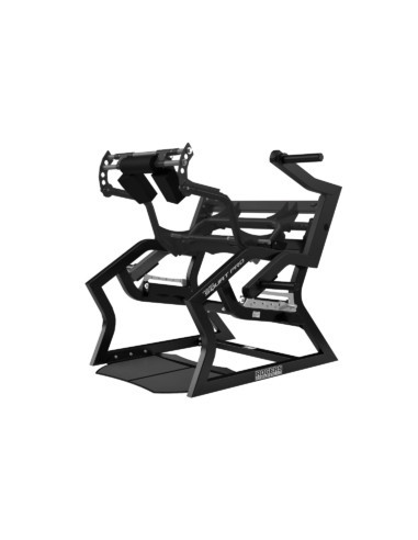 Rogers Pendulum Power Squat Pro 