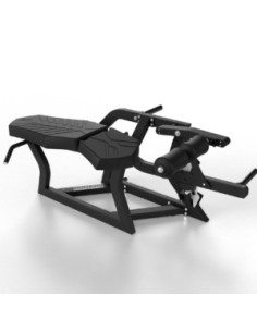 Rogers Pendulum Prone Leg Curl (flexion des jambes en position couchée) 