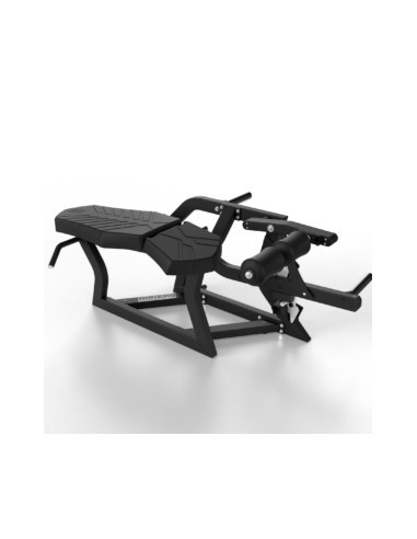 Rogers Pendulum Prone Leg Curl (flexion des jambes en position couchée) 