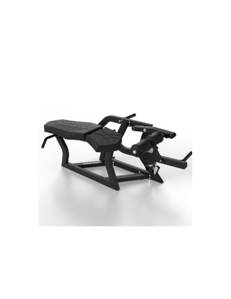 Rogers Pendulum Prone Leg Curl (flexion des jambes en position couchée) 