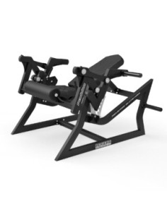 Rogers Pendulum Reverse Glute Ham 