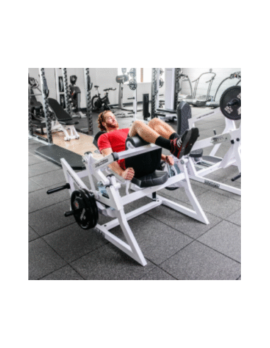 Rogers Pendulum Reverse Glute Ham 