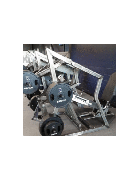 Rogers Pendulum Seated Squat Pro 
