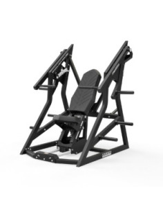 Rogers Pendulum Shoulder / Incline 