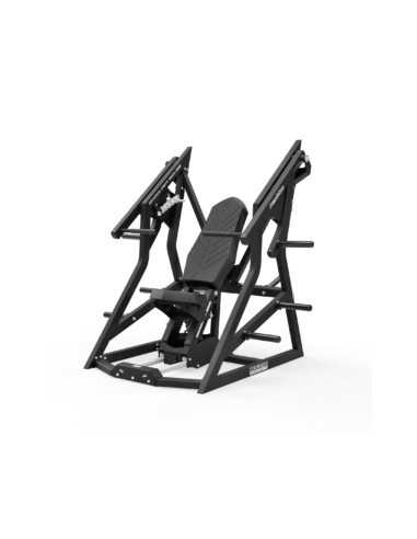 Rogers Pendulum Shoulder / Incline 