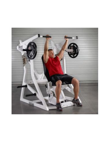 Rogers Pendulum Shoulder / Incline 